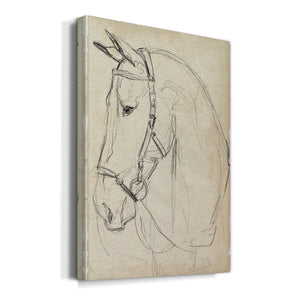Horse in Bridle Sketch II - Canvas Art Print