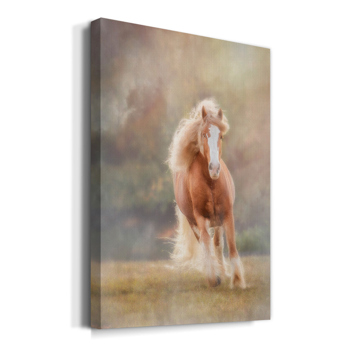Horse Motion VII Premium Gallery Wrapped Canvas - Ready to Hang