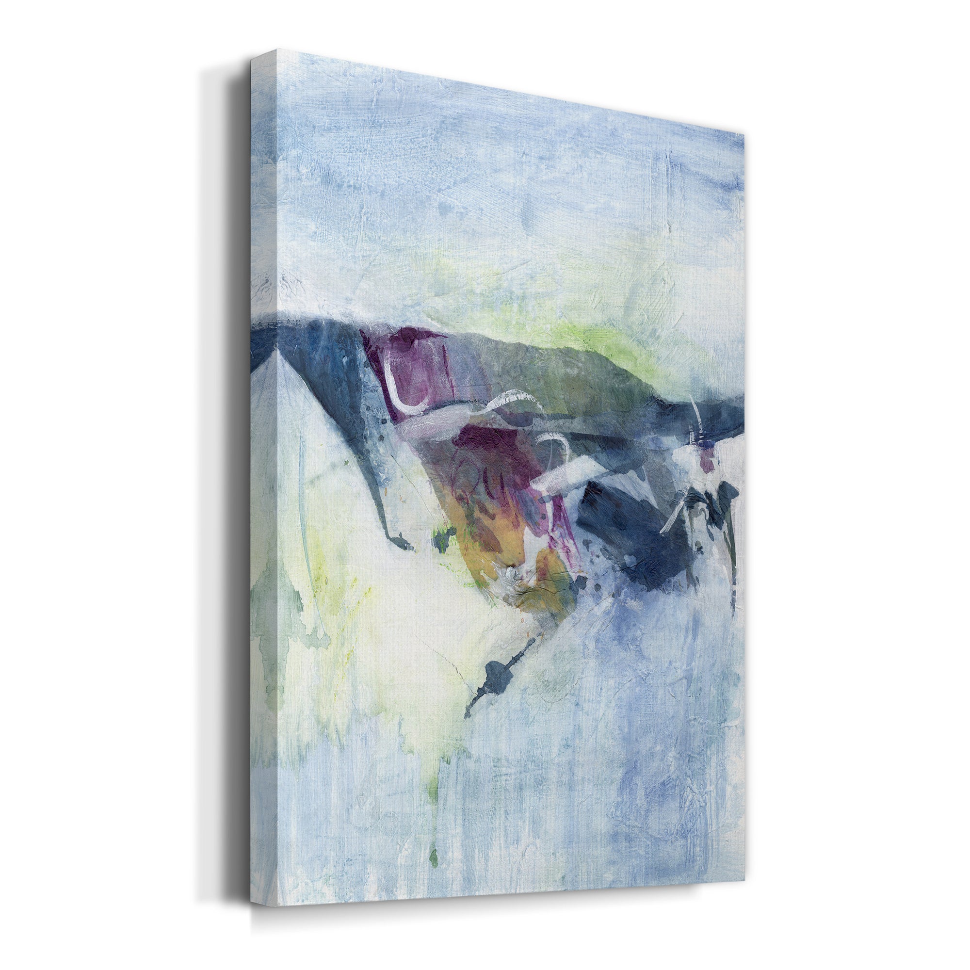 Gliding on Ice II Premium Gallery Wrapped Canvas - Ready to Hang