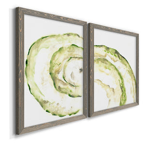 Lichen Halo V - Barnwood Framed Canvas Set