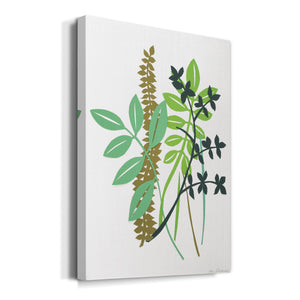 Deckled Hedge Row I - Canvas Art Print