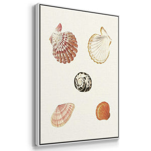 Pastel Knorr Shells VI - Framed Premium Gallery Wrapped Canvas L Frame 3 Piece Set - Ready to Hang