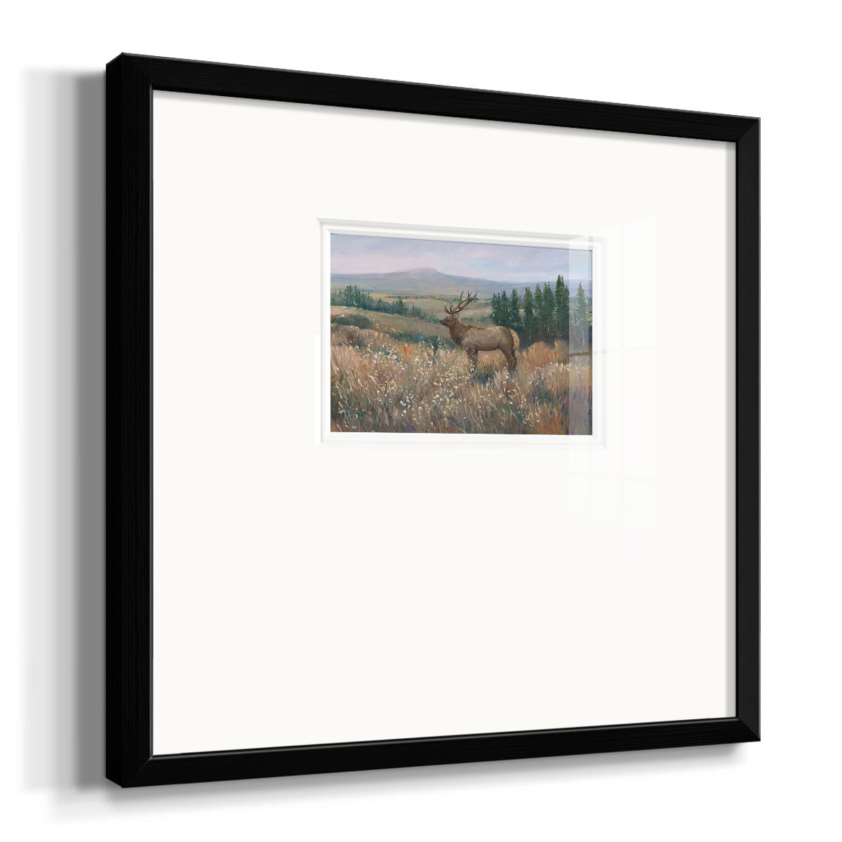 Western Wildlife II Premium Framed Print Double Matboard
