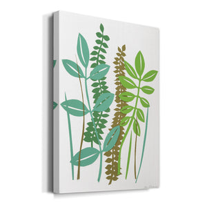 Deckled Hedge Row II - Canvas Art Print