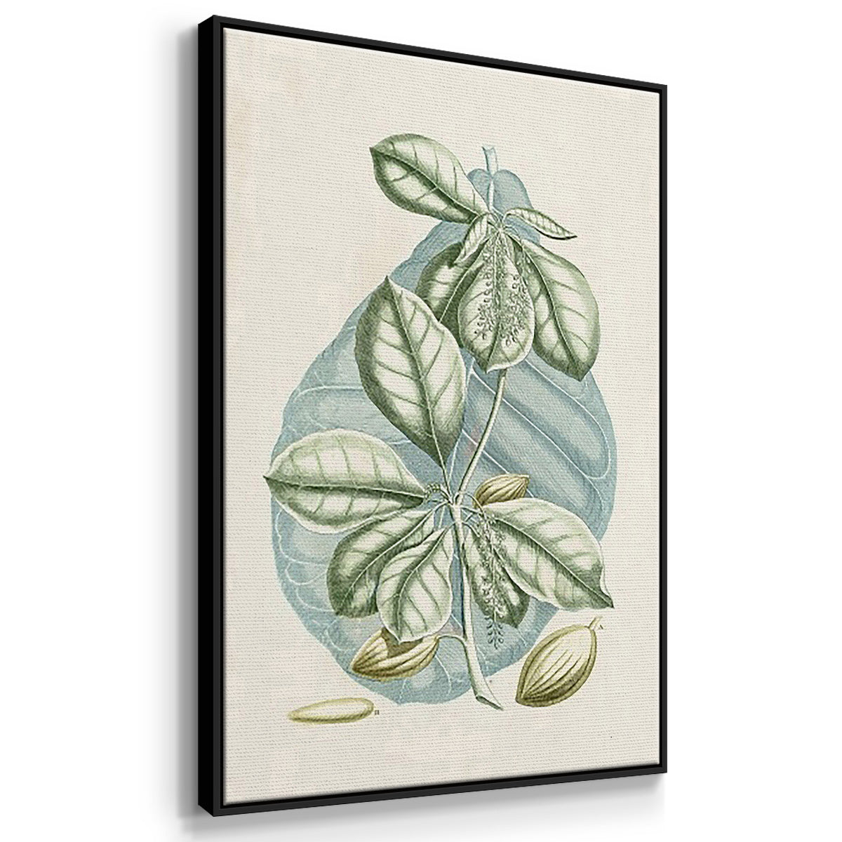 Buchoz Tropicals IX - Framed Premium Gallery Wrapped Canvas L Frame 3 Piece Set - Ready to Hang
