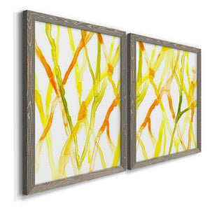 Runnel III - Barnwood Framed Canvas Set
