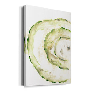 Lichen Halo V - Canvas Art Print