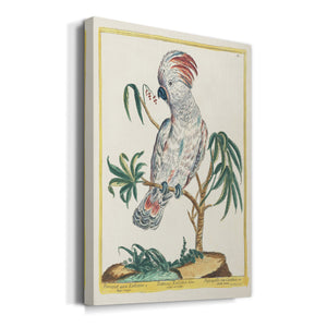 Pastel Birds II - Canvas Art Print