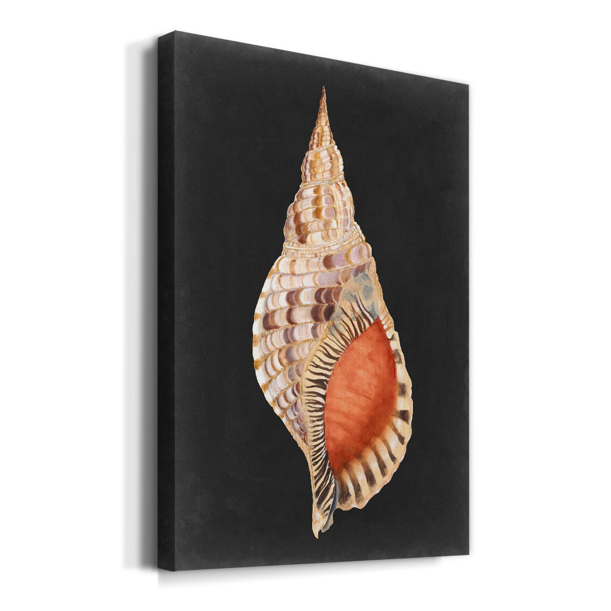 Graphic Grand Triton Premium Gallery Wrapped Canvas - Ready to Hang