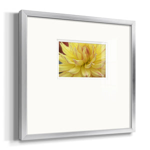 Blooms I Premium Framed Print Double Matboard
