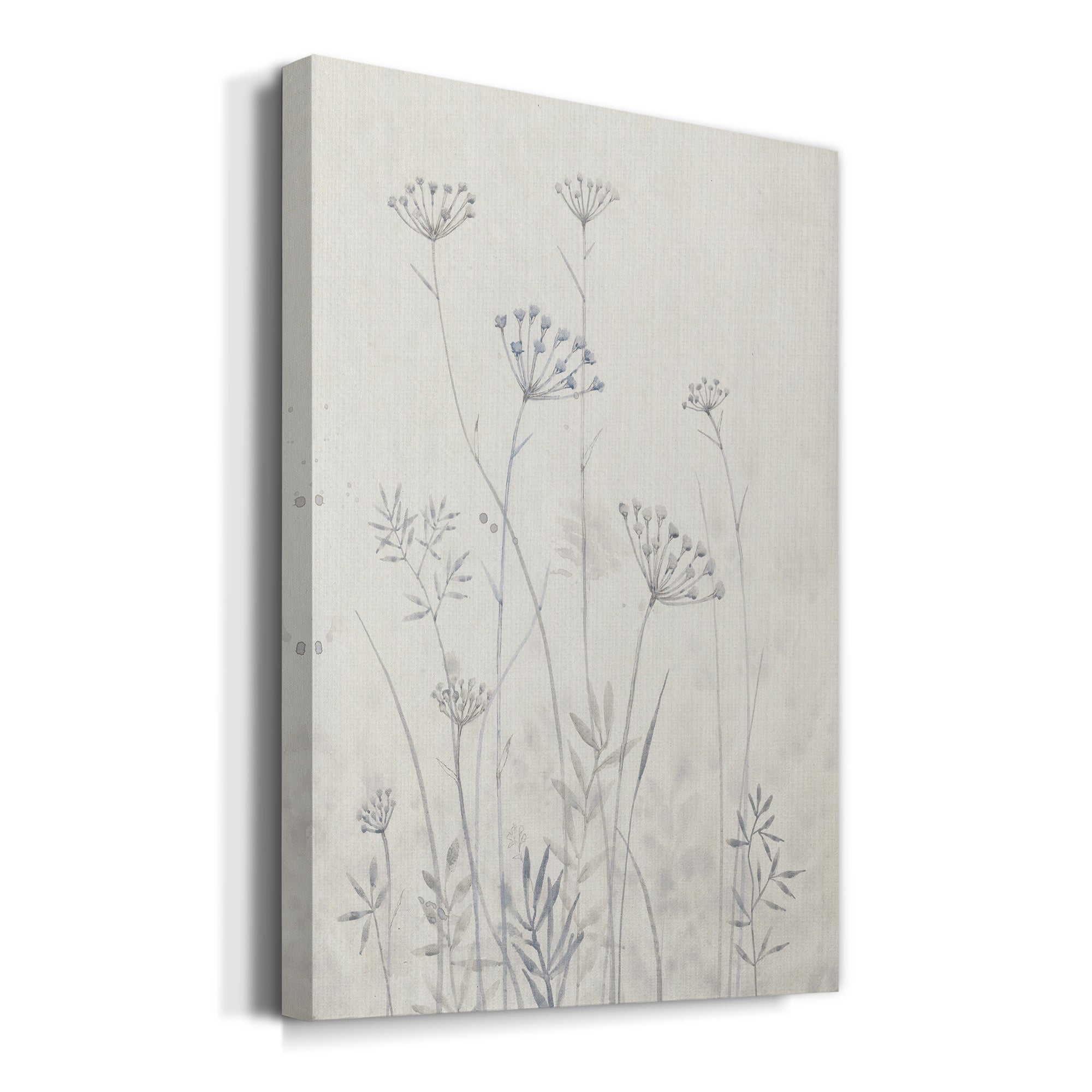 Neutral Queen Anne's Lace I Premium Gallery Wrapped Canvas - Ready to Hang