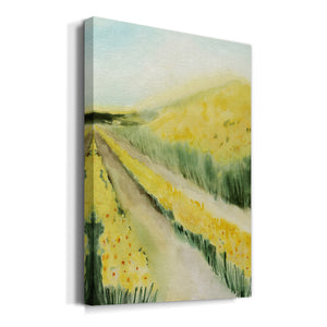 Gilded Aisles II - Canvas Art Print