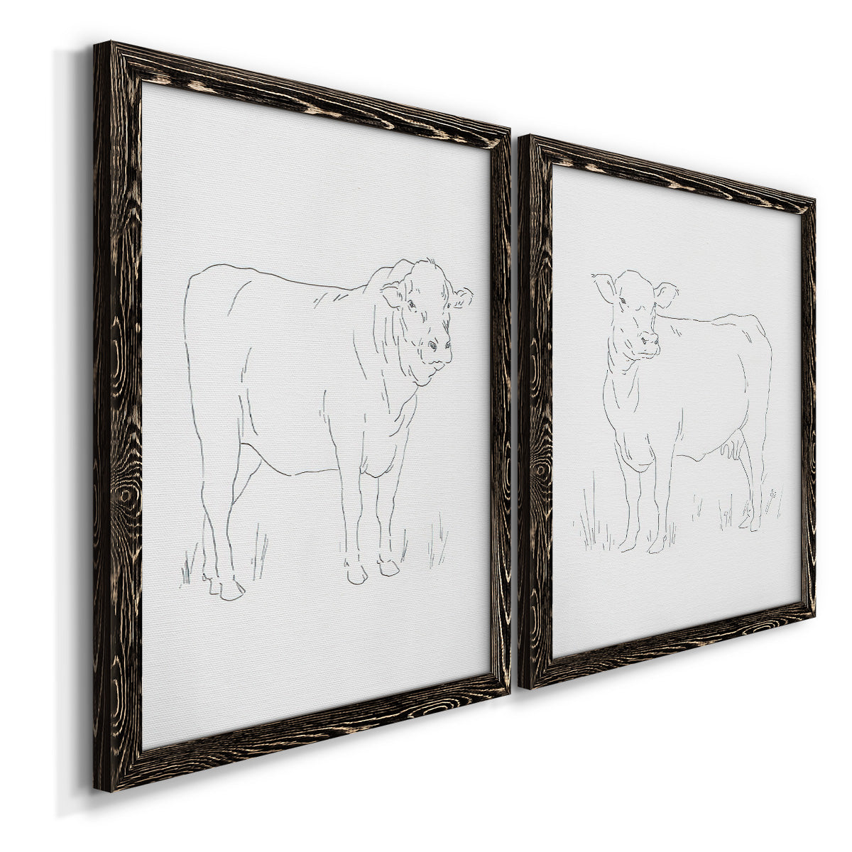 Limousin Cattle I - Barnwood Framed Canvas Set