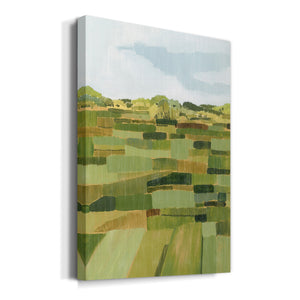 Woven Pasture II Premium Gallery Wrapped Canvas - Ready to Hang