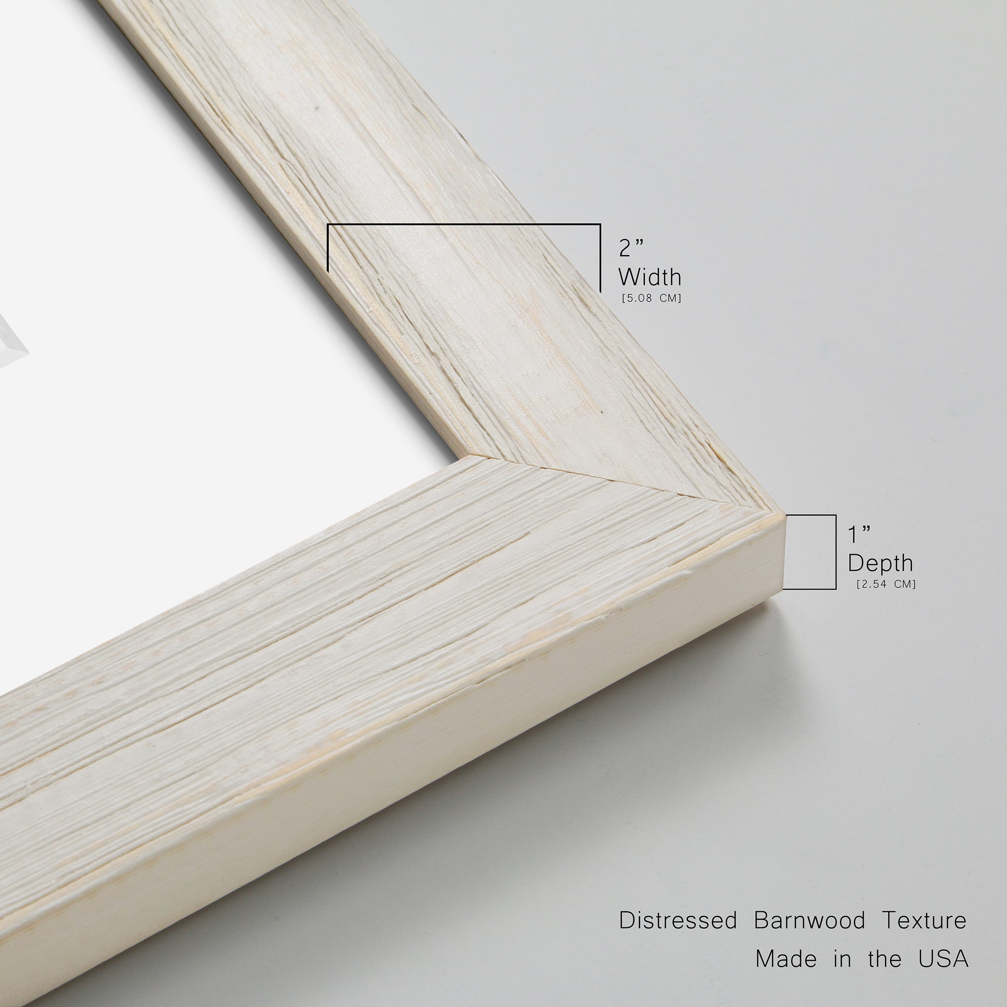Botanical II Revisit - Premium Framed Print - Distressed Barnwood Frame - Ready to Hang