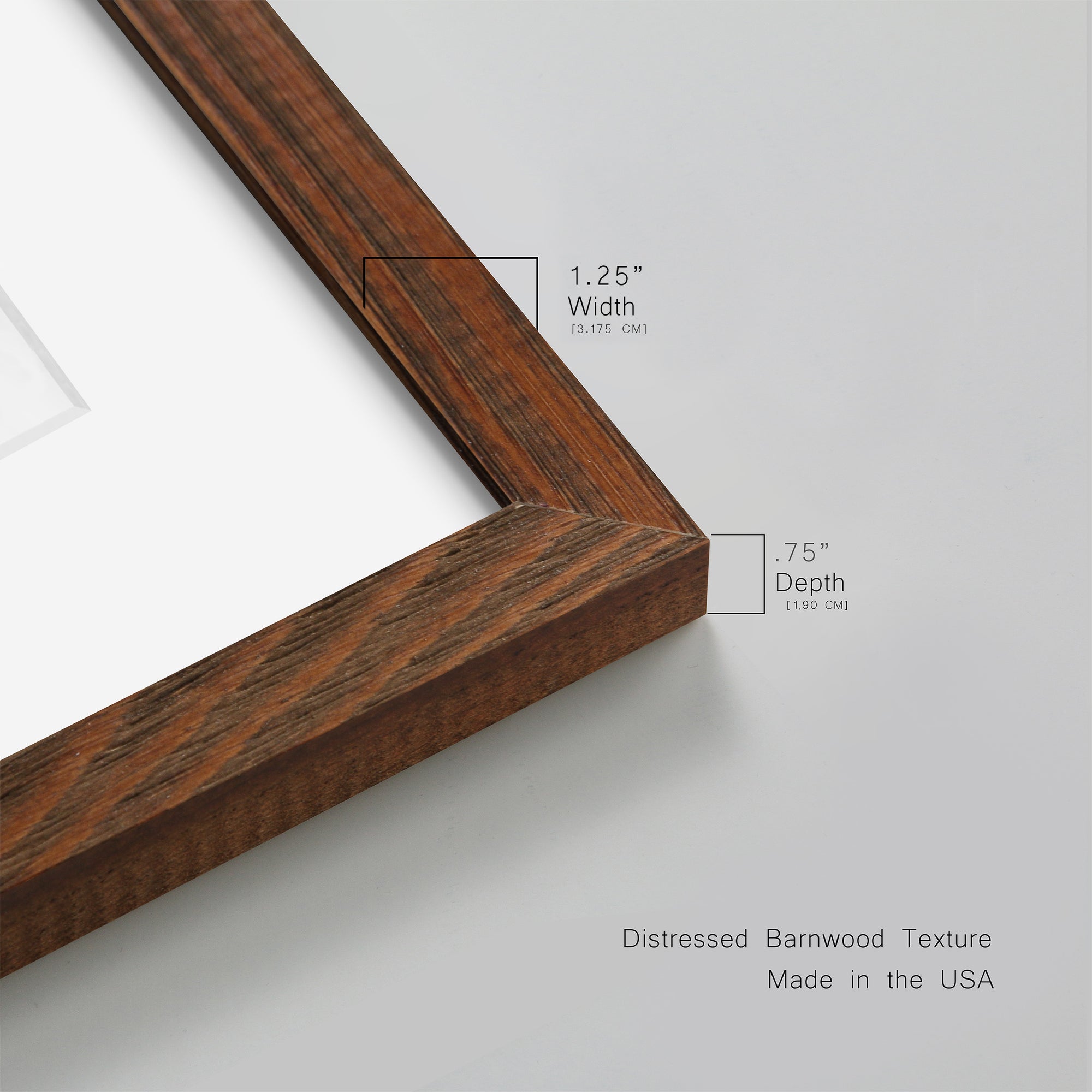 Palm Bath I - Premium Framed Print - Distressed Barnwood Frame - Ready to Hang