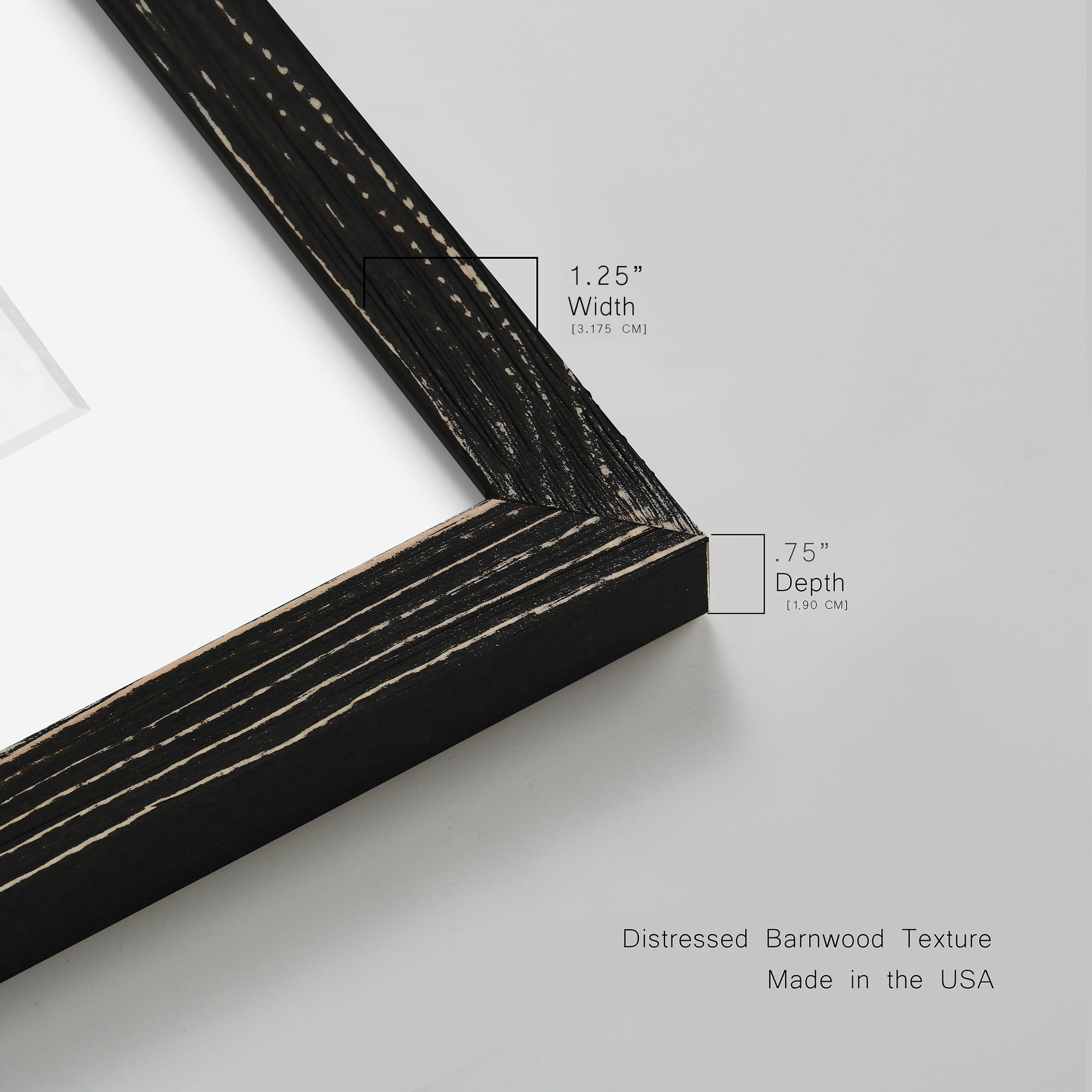 Inky Botanical II - Premium Framed Print - Distressed Barnwood Frame - Ready to Hang