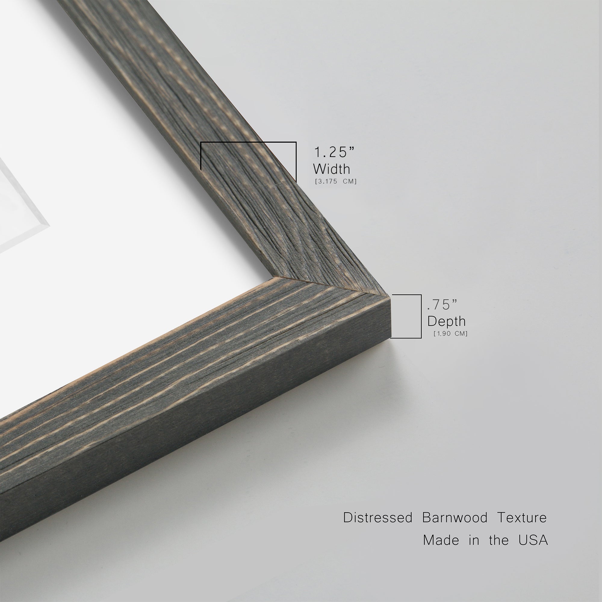 Botanical Revisit I - Premium Framed Print - Distressed Barnwood Frame - Ready to Hang