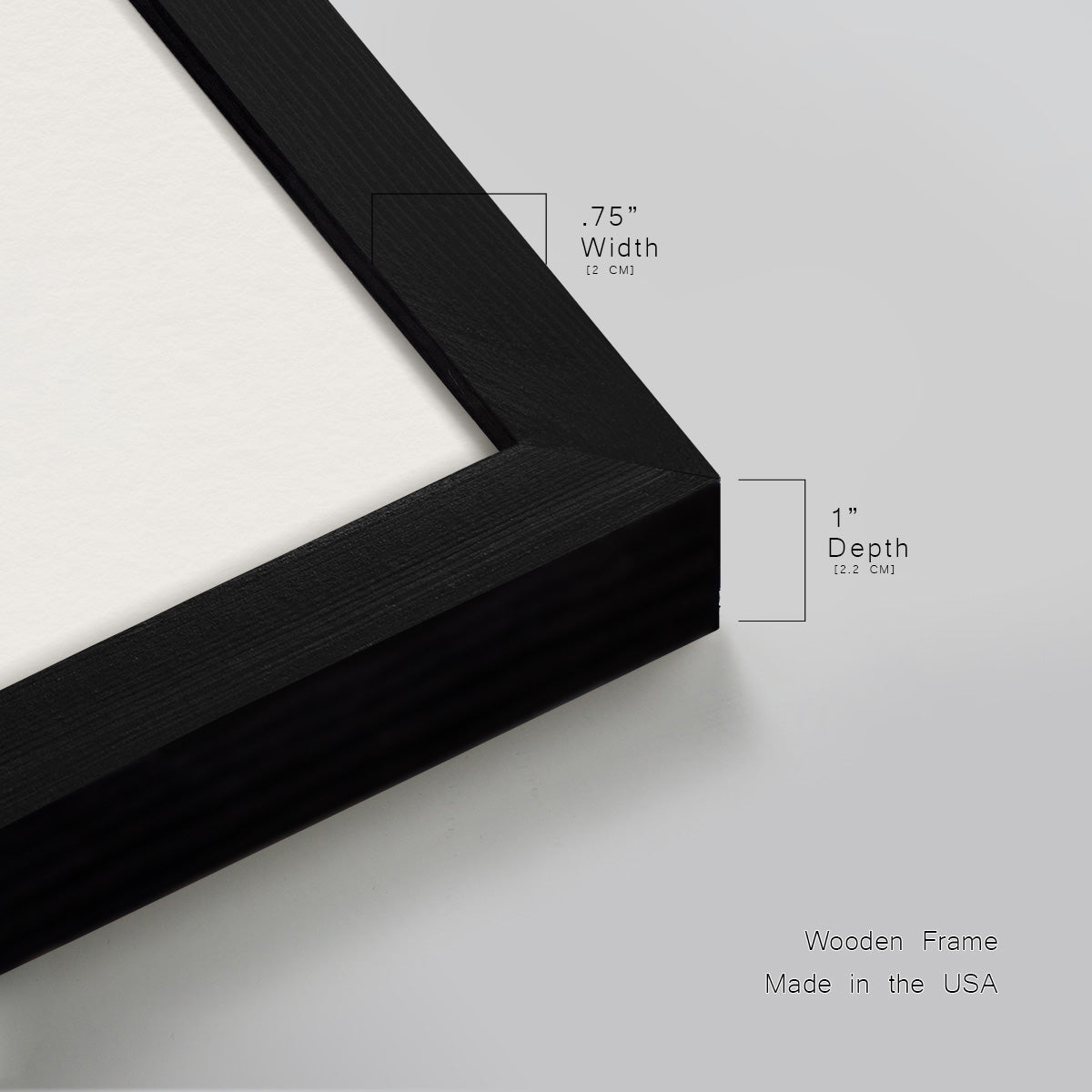White Peony Premium Framed Print Double Matboard