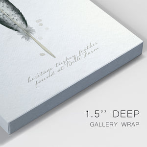 Found Feather II - Canvas Art Print