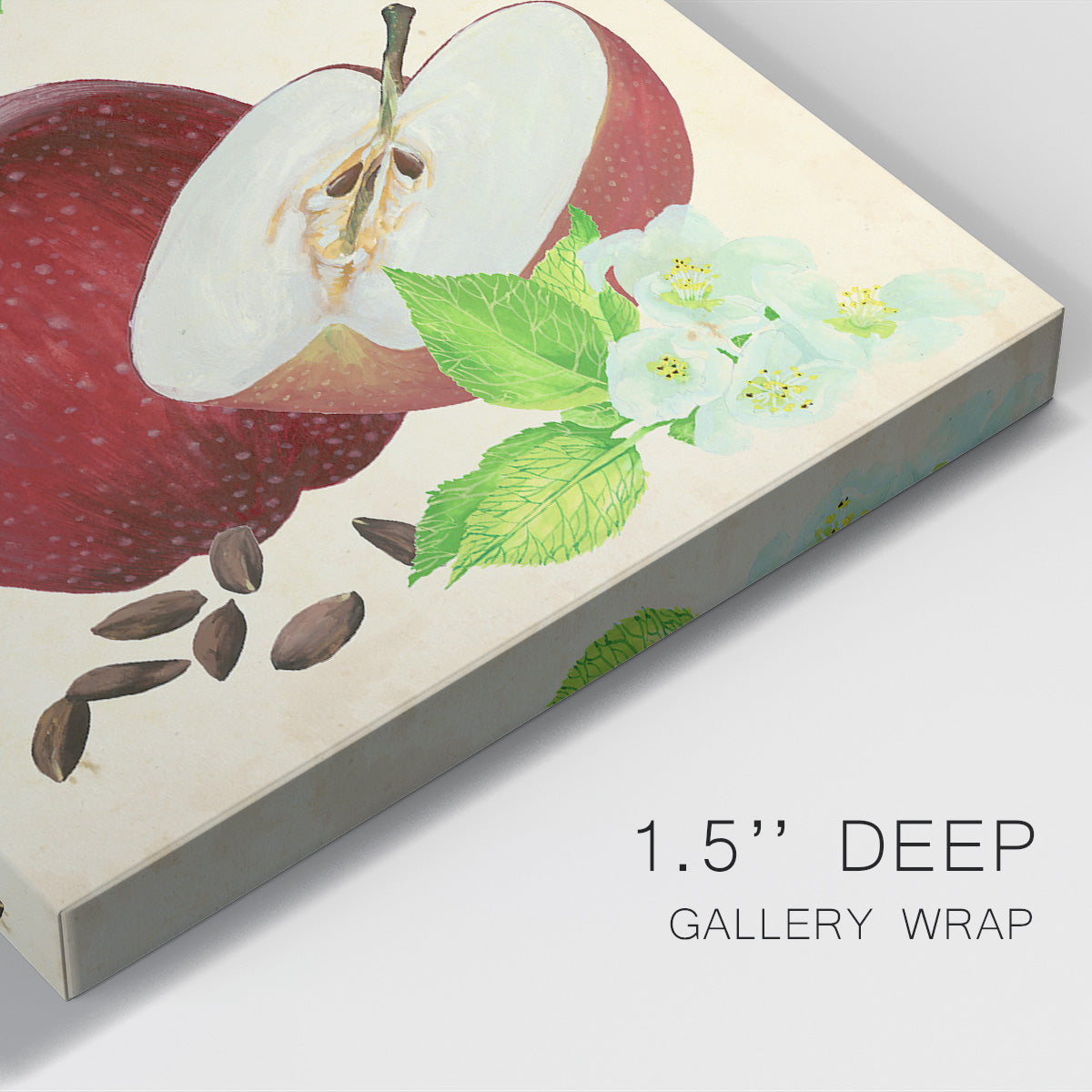 Apple & Blossom Study I Premium Gallery Wrapped Canvas - Ready to Hang