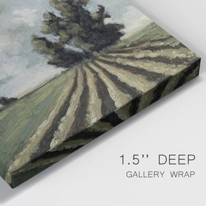 Copse of Trees Premium Gallery Wrapped Canvas - Ready to Hang