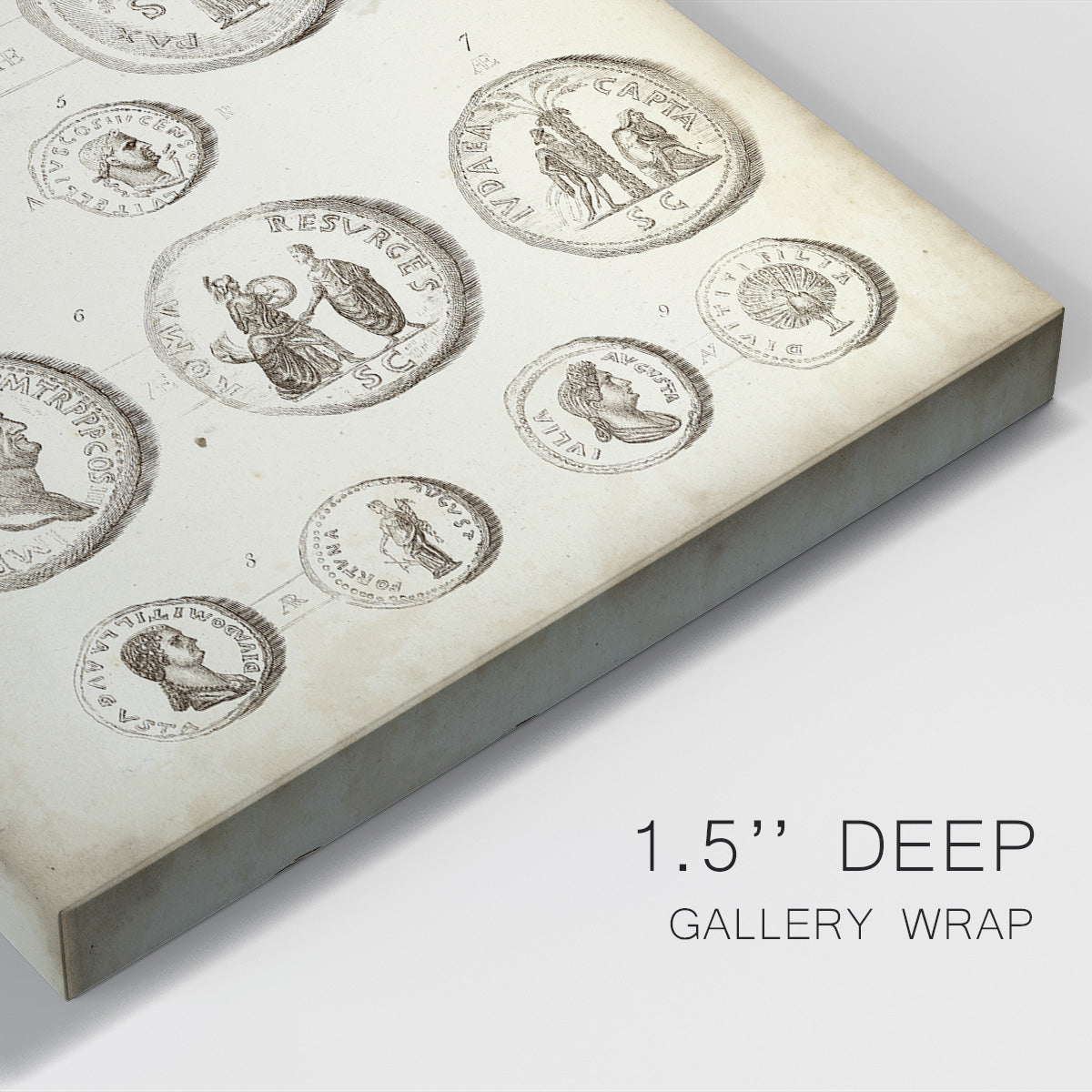 Antique Roman Coins III Premium Gallery Wrapped Canvas - Ready to Hang