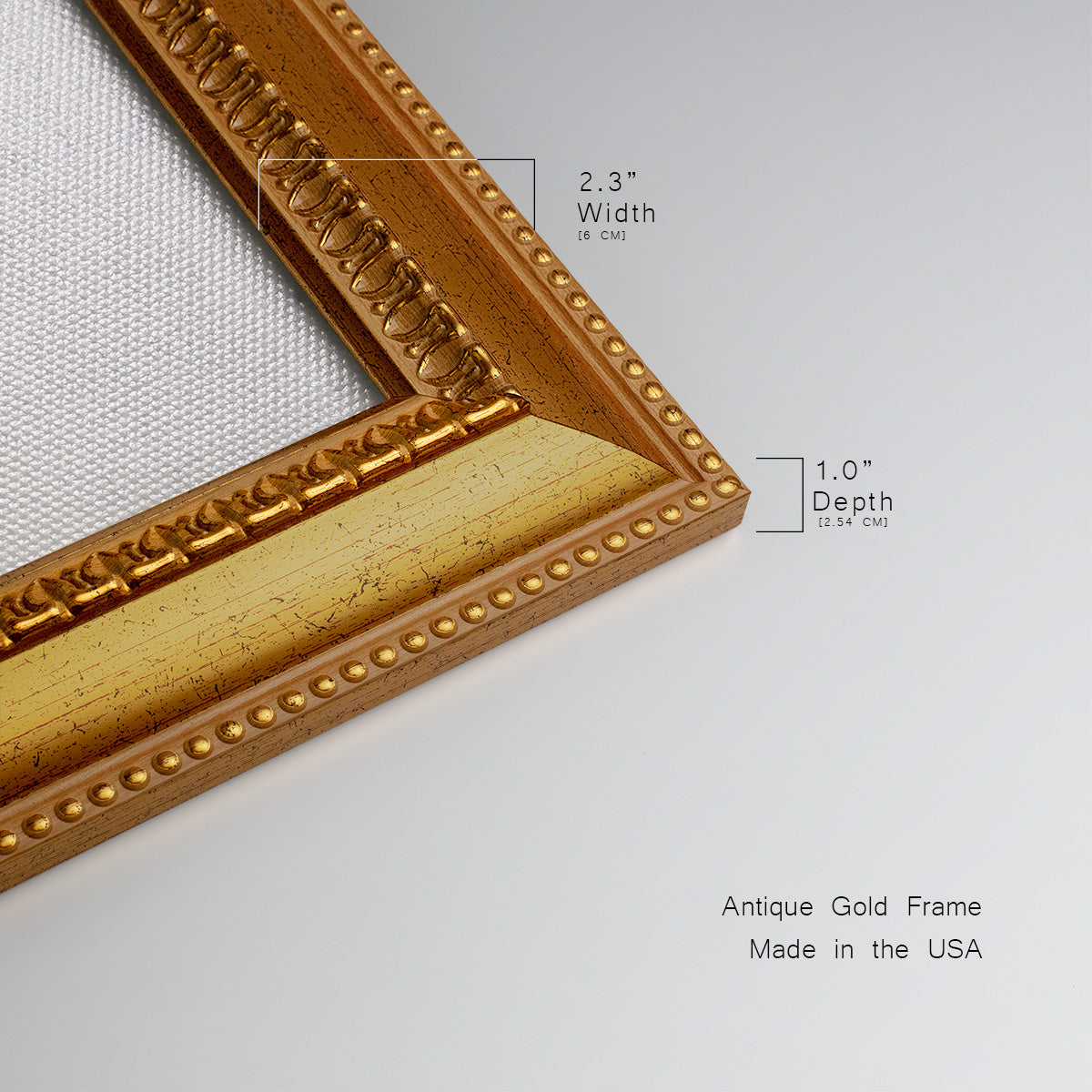 Amaryllis Splendor II Premium Framed Canvas- Ready to Hang