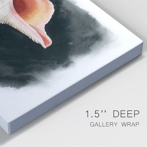 Conch on Black II - Canvas Art Print