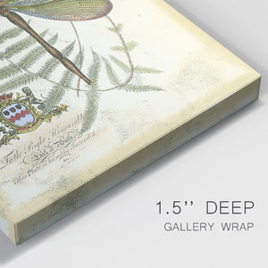 Regal Dragonfly II (PP)  - Canvas Art Print