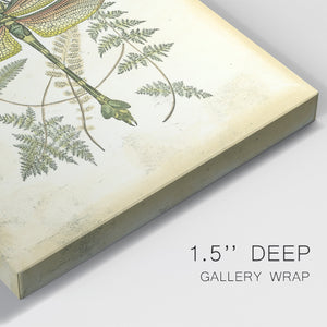 Regal Dragonfly III (PP)  - Canvas Art Print