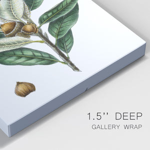 Dense Flowered Oak Premium Gallery Wrapped Canvas - Ready to Hang