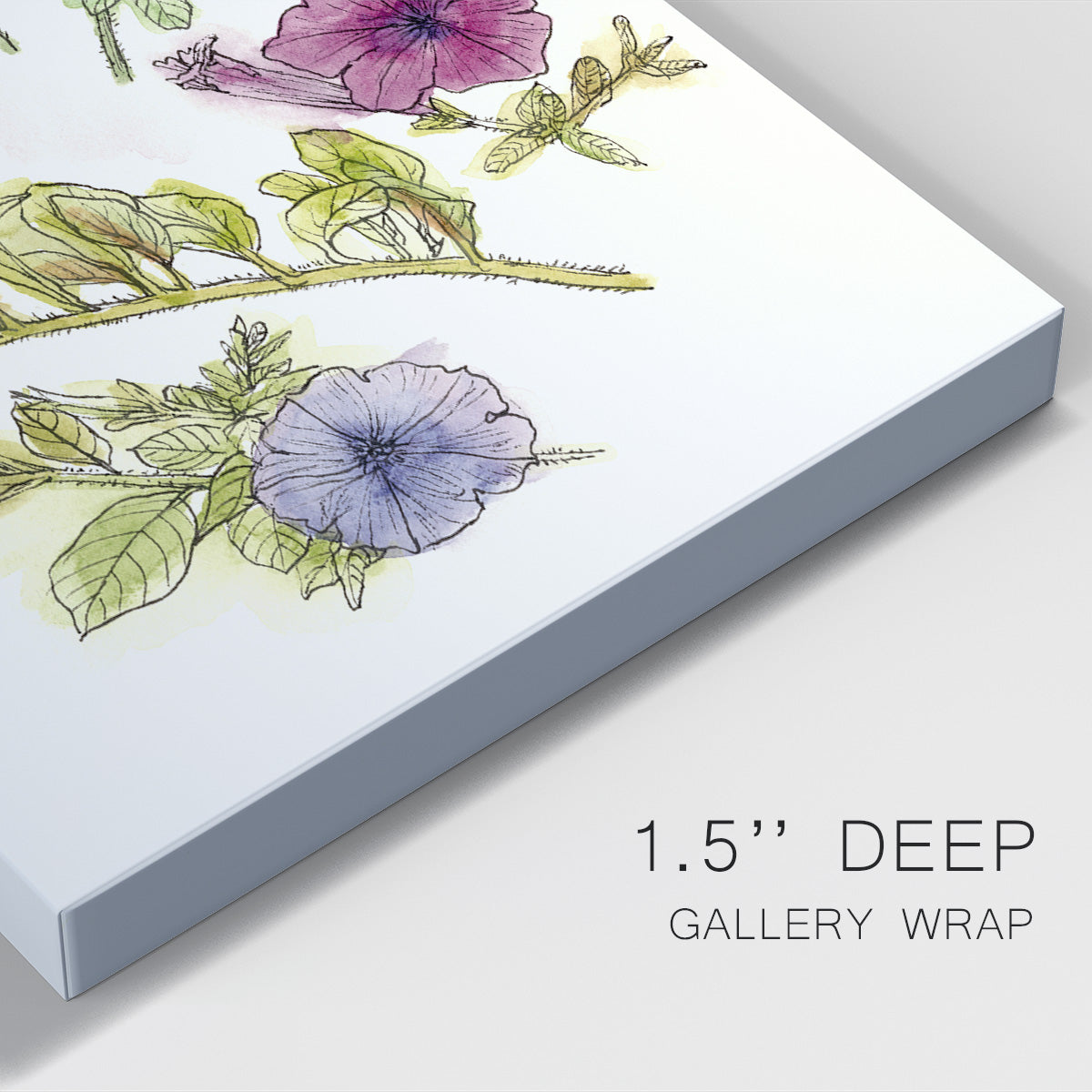 Floral Field Notes III Premium Gallery Wrapped Canvas - Ready to Hang