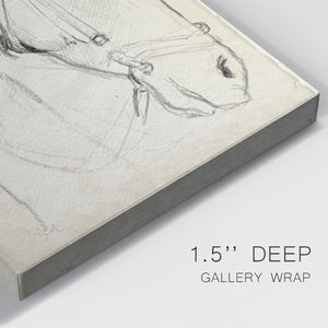 Horse in Bridle Sketch I - Canvas Art Print