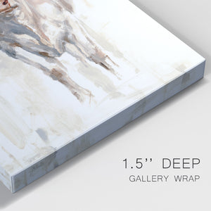 Sunlit Cows II - Canvas Art Print