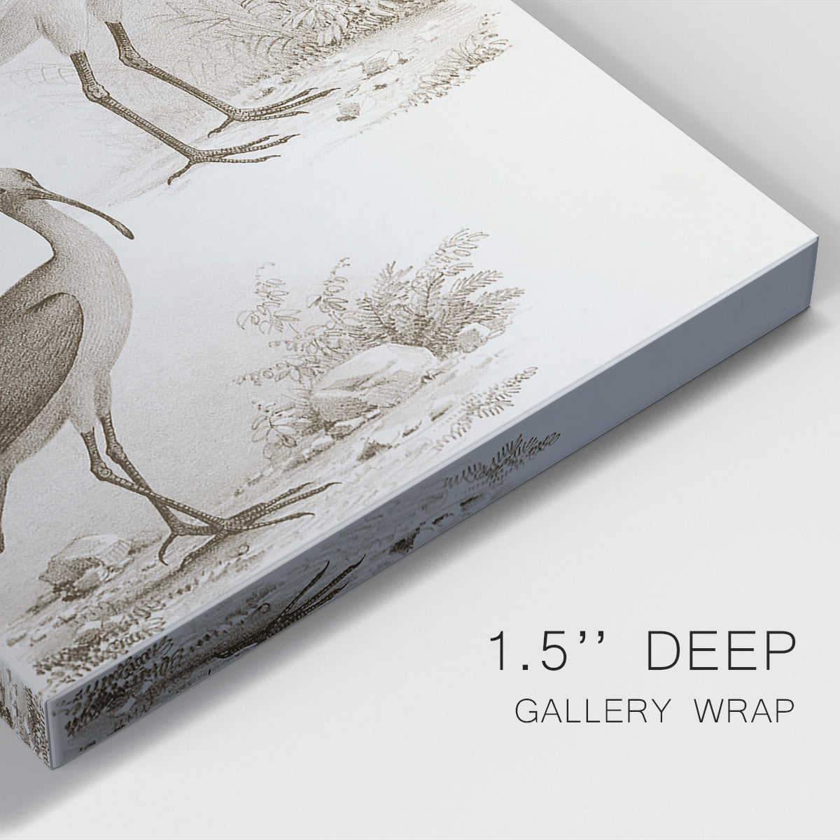 Sepia Water Birds II Premium Gallery Wrapped Canvas - Ready to Hang