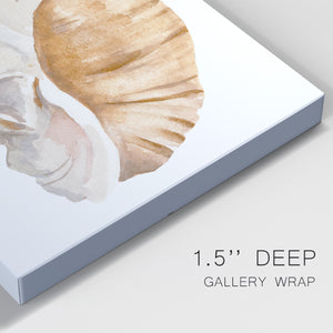 Seashell I - Canvas Art Print