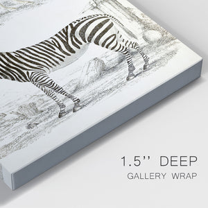 Journal of Natural History I - Canvas Art Print