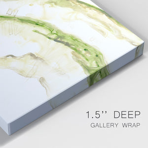 Lichen Halo VI - Canvas Art Print