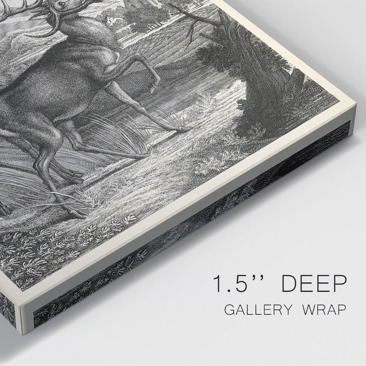 Woodland Deer V Premium Gallery Wrapped Canvas - Ready to Hang