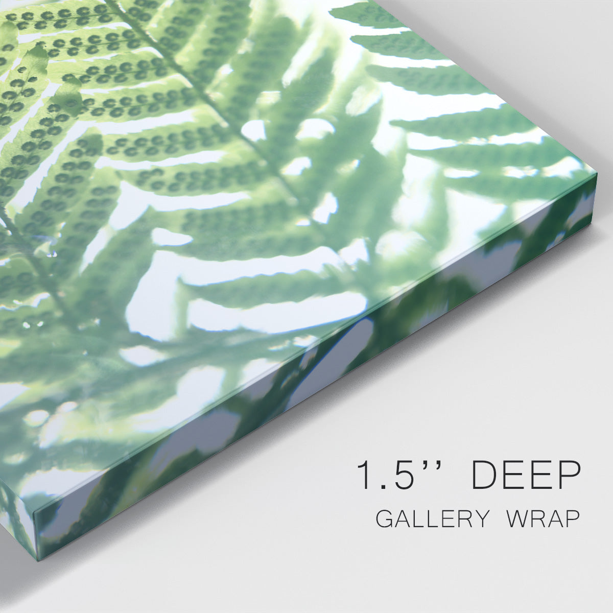 UA Fern Glow IV Premium Gallery Wrapped Canvas - Ready to Hang