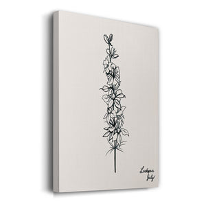 Annual Flowers VII - Gallery Wrapped Canvas