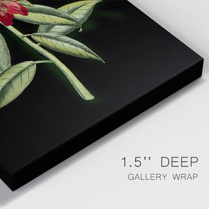 Crimson Flowers on Black (A) II Premium Gallery Wrapped Canvas - Ready to Hang