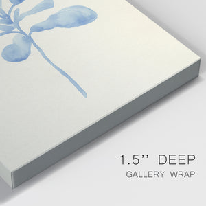 Verditer Fig IV - Canvas Art Print