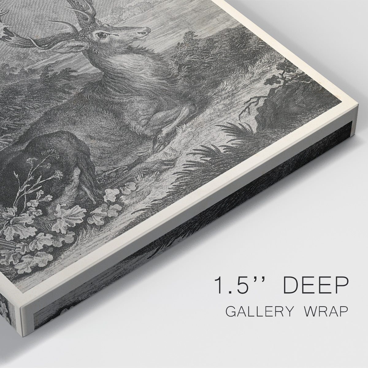 Woodland Deer III Premium Gallery Wrapped Canvas - Ready to Hang