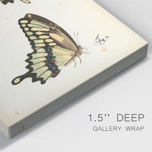 Butterfly Profile I - Canvas Art Print