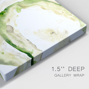 Lichen Halo IV - Canvas Art Print