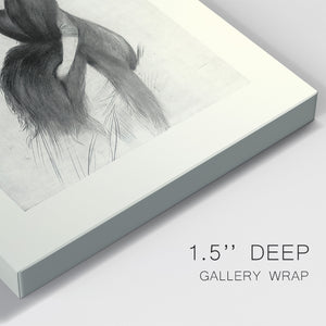 Feather Hat II Premium Gallery Wrapped Canvas - Ready to Hang