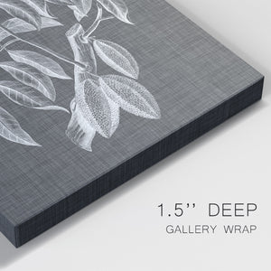 Graphic Foliage III Premium Gallery Wrapped Canvas - Ready to Hang