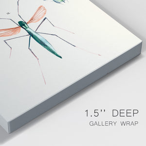 Insect Varieties III - Canvas Art Print